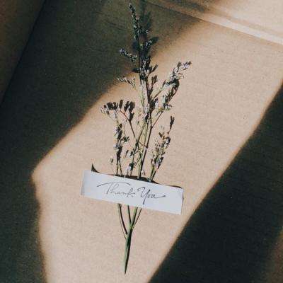 完美电竞平台手机app下载