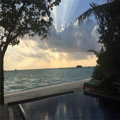 乐发彩票app下载x