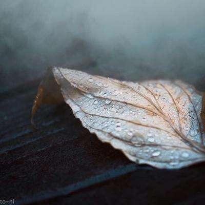 捕鱼能下分的截图